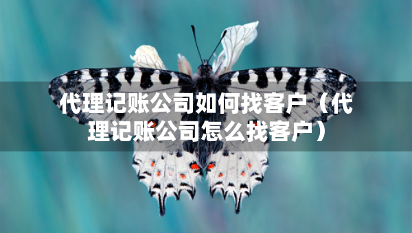 代理记账公司如何找客户（代理记账公司怎么找客户）
