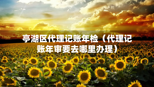 亭湖区代理记账年检（代理记账年审要去哪里办理）