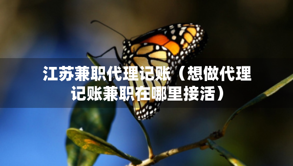 江苏兼职代理记账（想做代理记账兼职在哪里接活）
