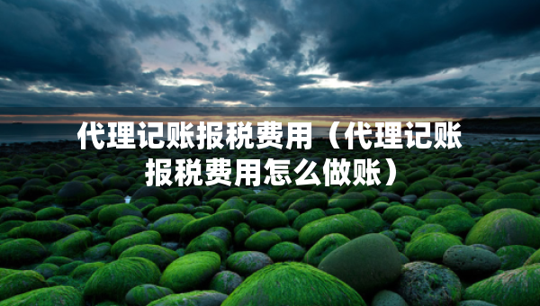 代理记账报税费用（代理记账报税费用怎么做账）