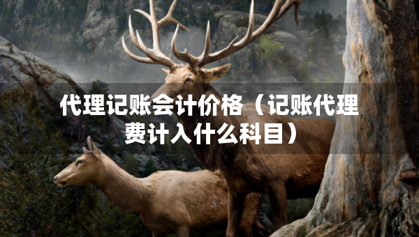 代理记账会计价格（记账代理费计入什么科目）