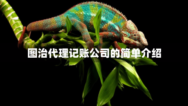图治代理记账公司的简单介绍