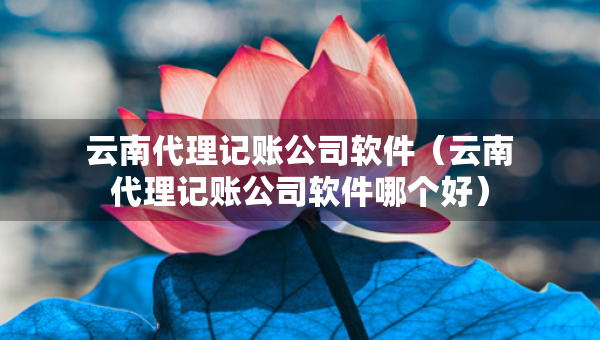 云南代理记账公司软件（云南代理记账公司软件哪个好）