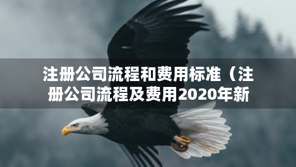 注册公司流程和费用标准（注册公司流程及费用2020年新政策）