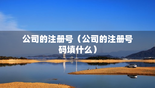 公司的注册号（公司的注册号码填什么）