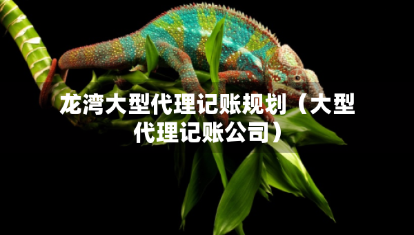 龙湾大型代理记账规划（大型代理记账公司）