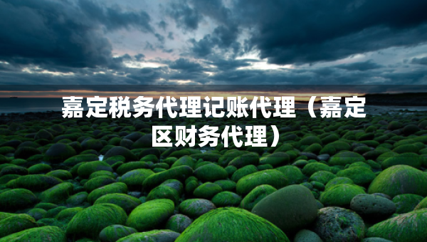 嘉定税务代理记账代理（嘉定区财务代理）