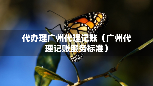 代办理广州代理记账（广州代理记账服务标准）
