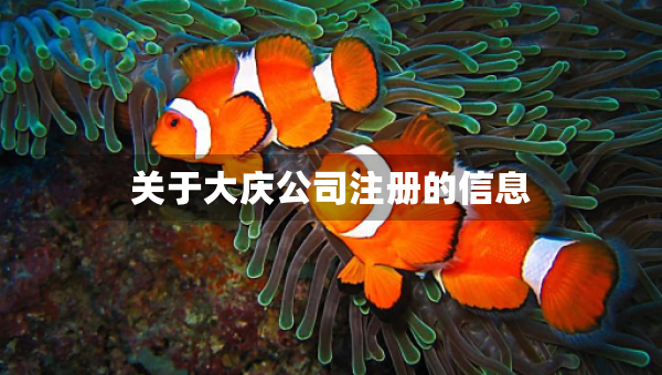 关于大庆公司注册的信息