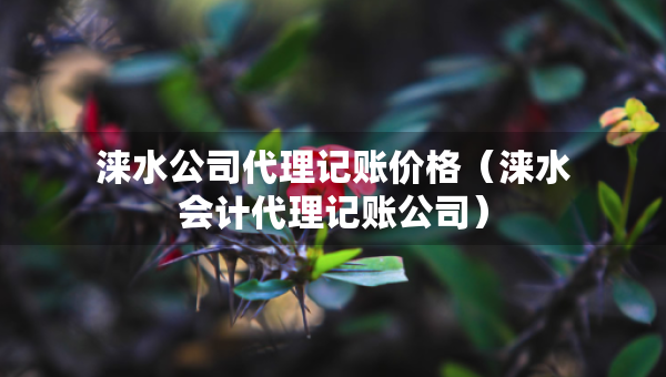 涞水公司代理记账价格（涞水会计代理记账公司）