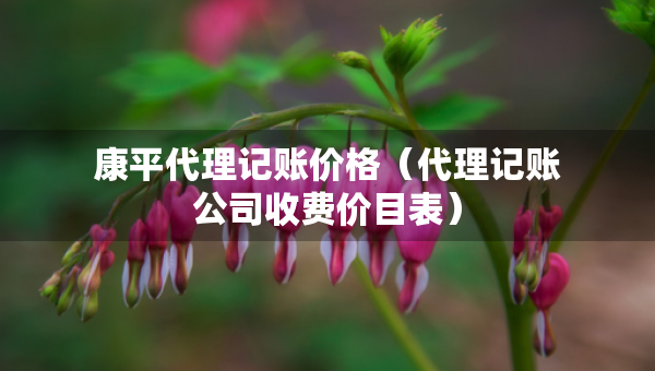康平代理记账价格（代理记账公司收费价目表）