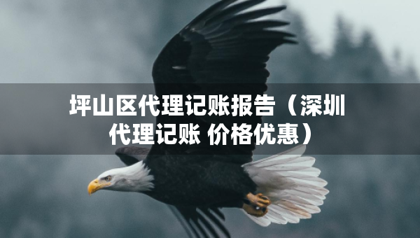 坪山区代理记账报告（深圳 代理记账 价格优惠）
