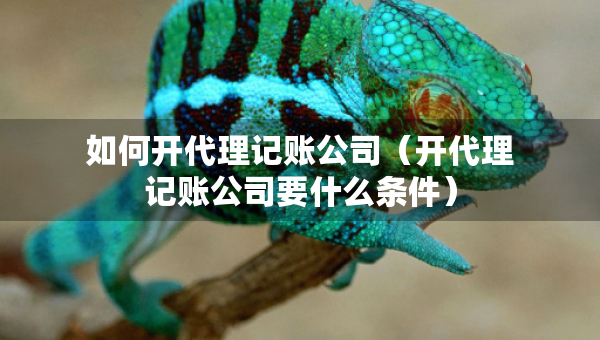 如何开代理记账公司（开代理记账公司要什么条件）