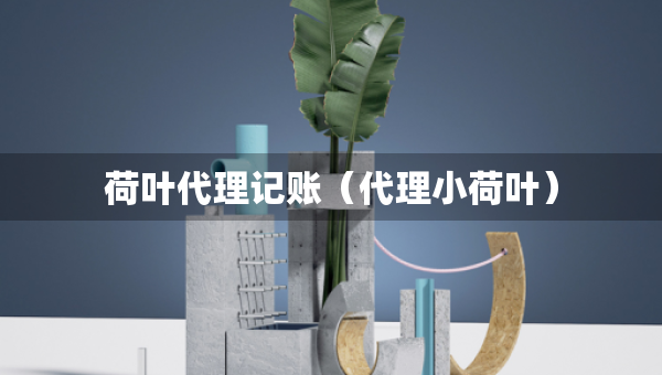 荷叶代理记账（代理小荷叶）