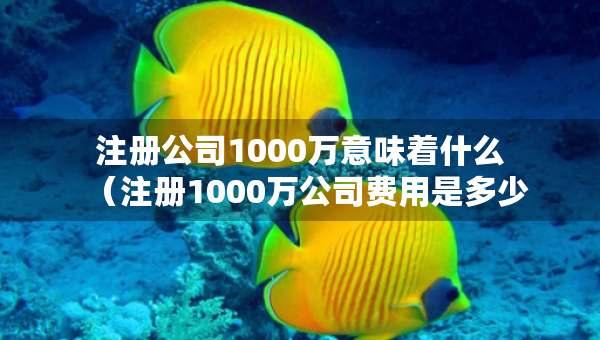 注册公司1000万意味着什么（注册1000万公司费用是多少）