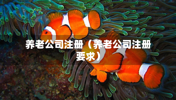 养老公司注册（养老公司注册要求）