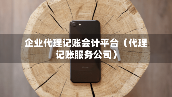 企业代理记账会计平台（代理记账服务公司）