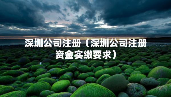 深圳公司注册（深圳公司注册资金实缴要求）