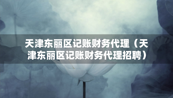 天津东丽区记账财务代理（天津东丽区记账财务代理招聘）