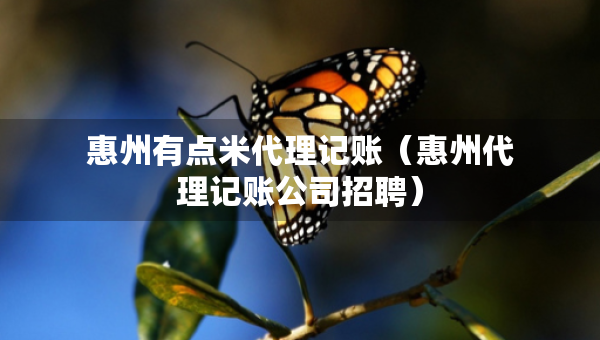 惠州有点米代理记账（惠州代理记账公司招聘）