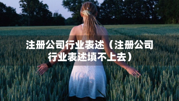 注册公司行业表述（注册公司行业表述填不上去）