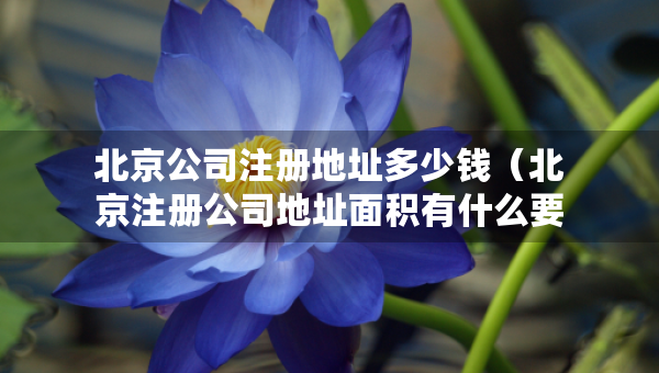 北京公司注册地址多少钱（北京注册公司地址面积有什么要求）