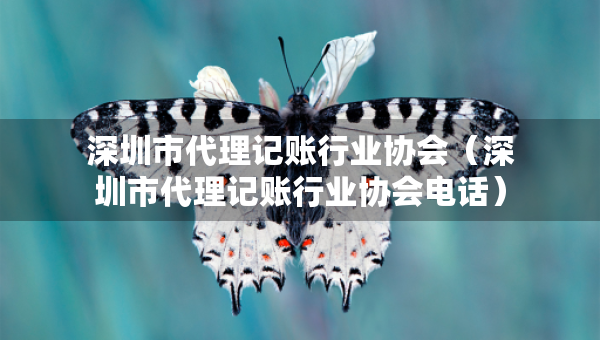 深圳市代理记账行业协会（深圳市代理记账行业协会电话）