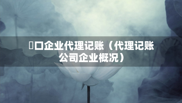 硚口企业代理记账（代理记账公司企业概况）