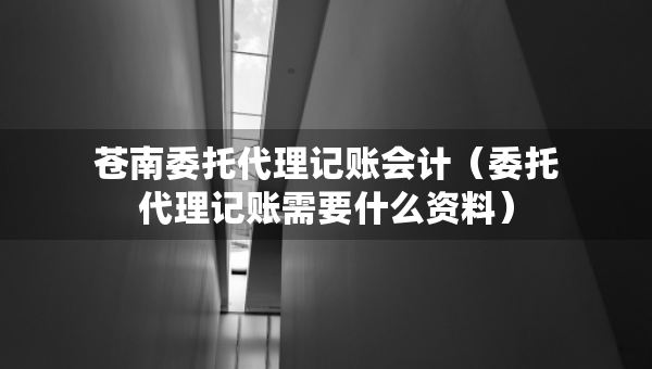 苍南委托代理记账会计（委托代理记账需要什么资料）