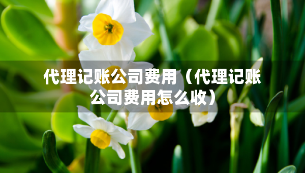 代理记账公司费用（代理记账公司费用怎么收）