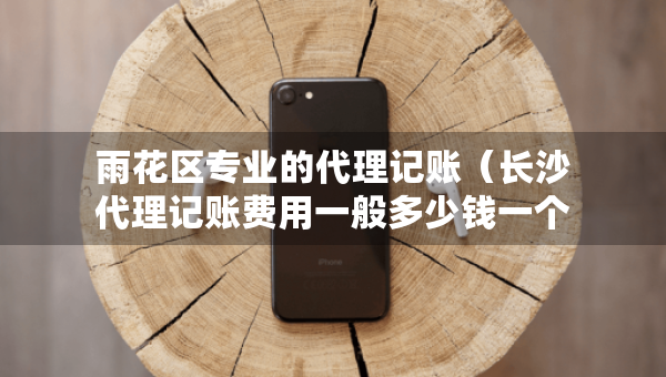 雨花区专业的代理记账（长沙代理记账费用一般多少钱一个月）