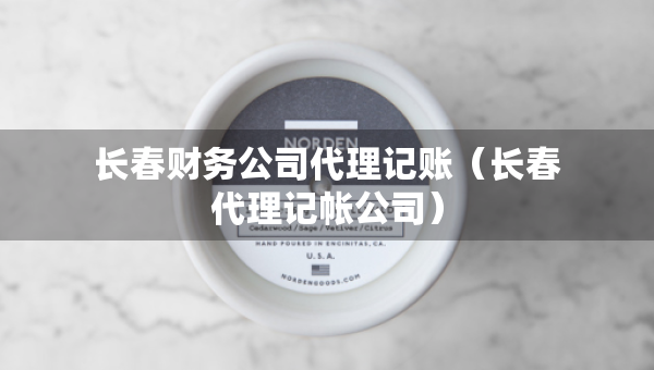 长春财务公司代理记账（长春代理记帐公司）