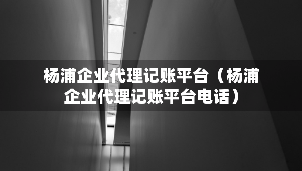 杨浦企业代理记账平台（杨浦企业代理记账平台电话）