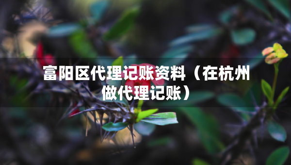 富阳区代理记账资料（在杭州做代理记账）