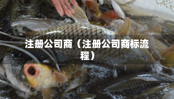 注册公司商（注册公司商标流程）