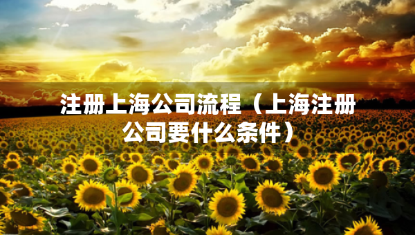 注册上海公司流程（上海注册公司要什么条件）