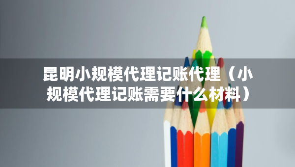 昆明小规模代理记账代理（小规模代理记账需要什么材料）