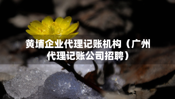 黄埔企业代理记账机构（广州代理记账公司招聘）