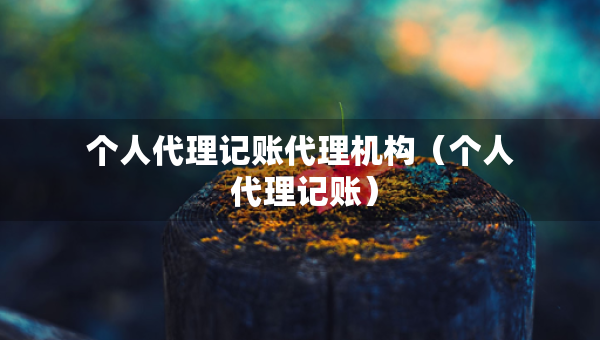个人代理记账代理机构（个人 代理记账）