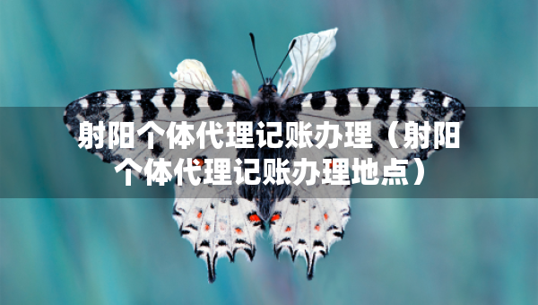 射阳个体代理记账办理（射阳个体代理记账办理地点）