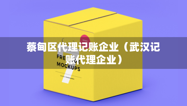 蔡甸区代理记账企业（武汉记账代理企业）