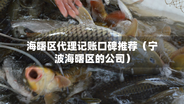 海曙区代理记账口碑推荐（宁波海曙区的公司）