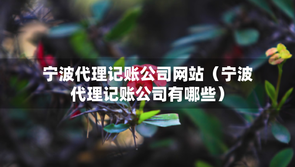 宁波代理记账公司网站（宁波代理记账公司有哪些）