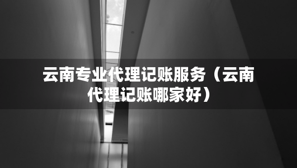 云南专业代理记账服务(云南代理记账哪家好) 云南专业代理记账服务(云南代理记账哪家好)