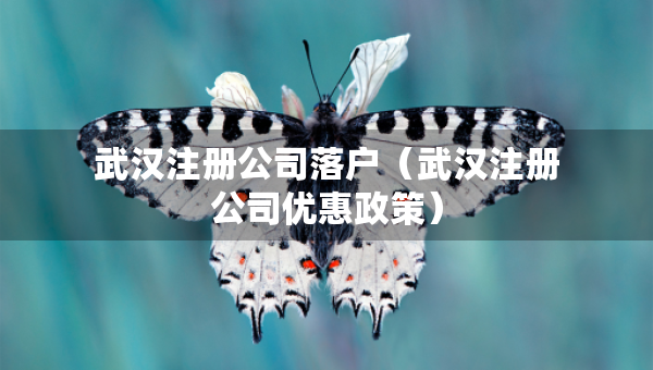 武汉注册公司落户（武汉注册公司优惠政策）