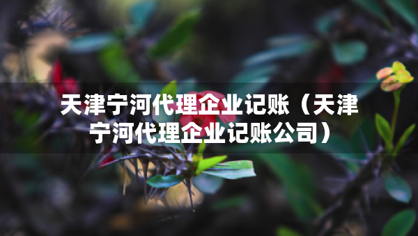 天津宁河代理企业记账（天津宁河代理企业记账公司）