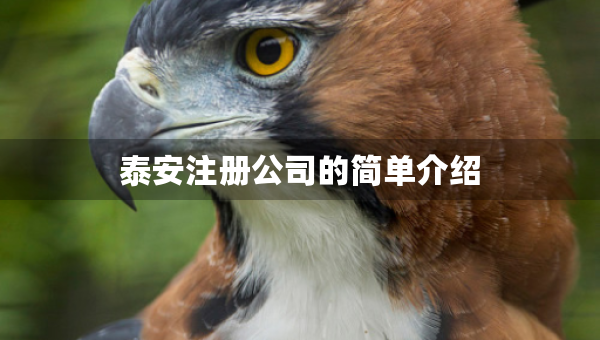 泰安注册公司的简单介绍