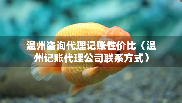 温州咨询代理记账性价比（温州记账代理公司联系方式）