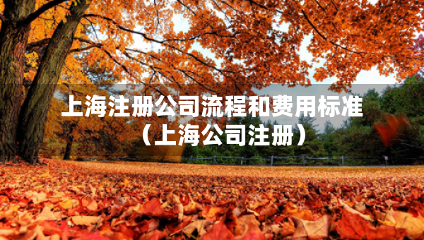 上海注册公司流程和费用标准（上海公司注册）
