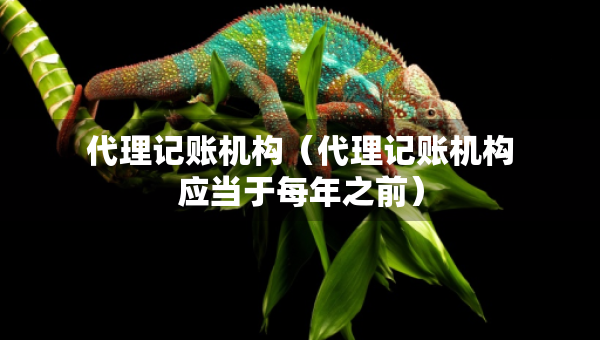 代理记账机构（代理记账机构应当于每年之前）